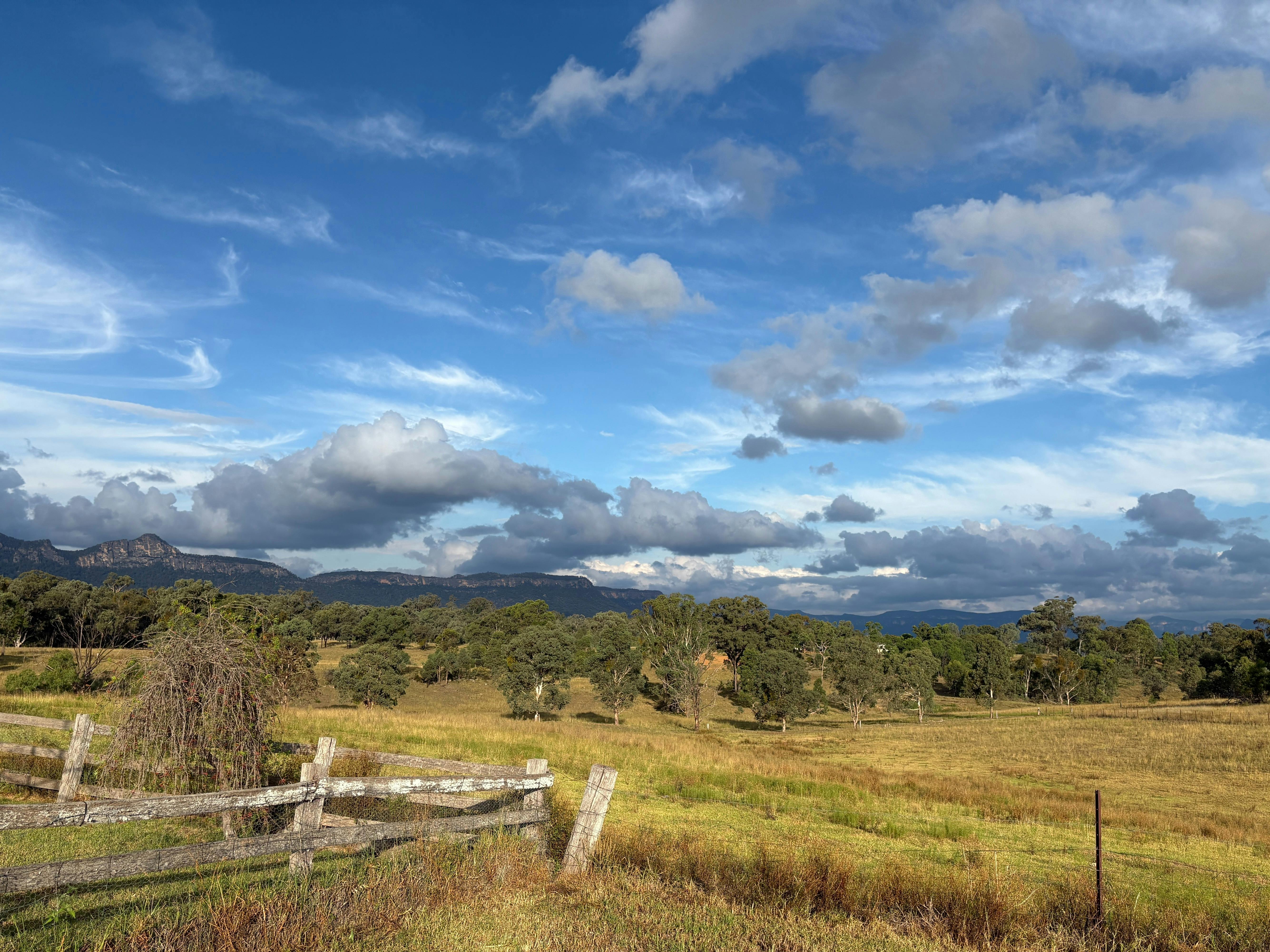 Blue sky with fluffy clouds scattered across it and yellow-green paddocks in the Capertee Valley