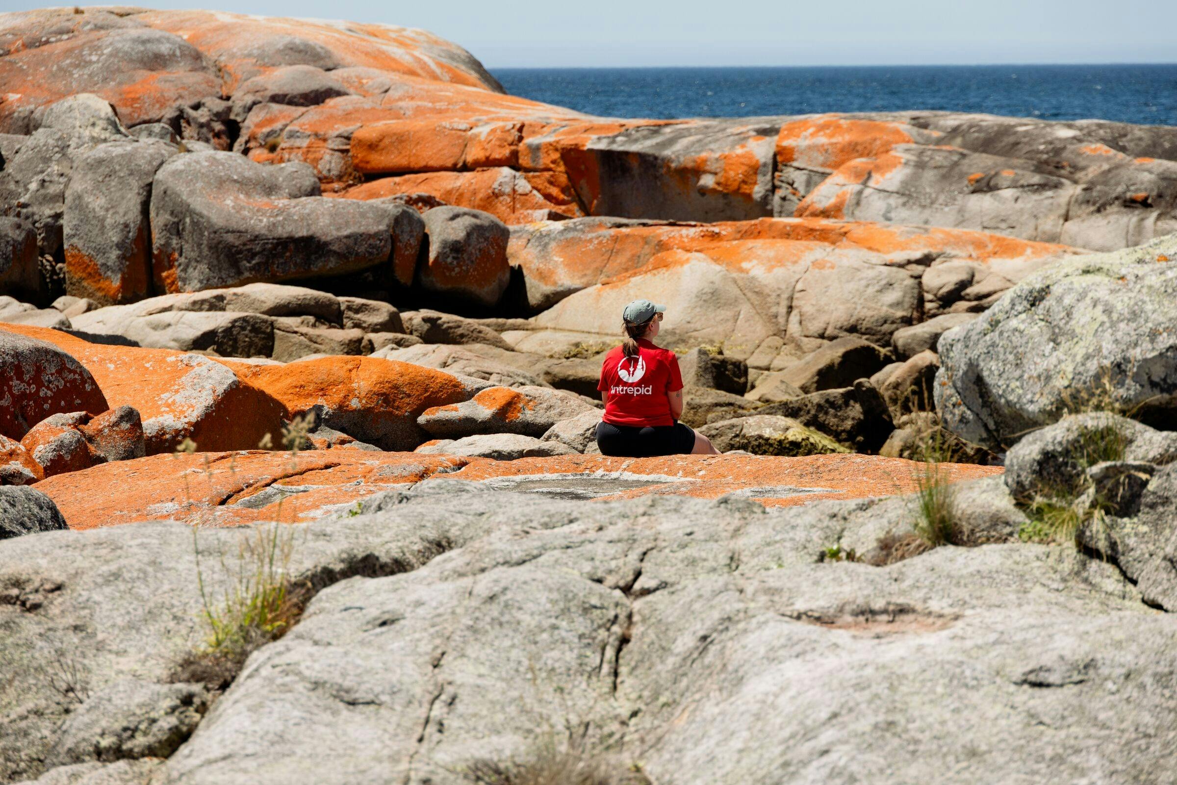 Walk Tasmania's Bay of Fires