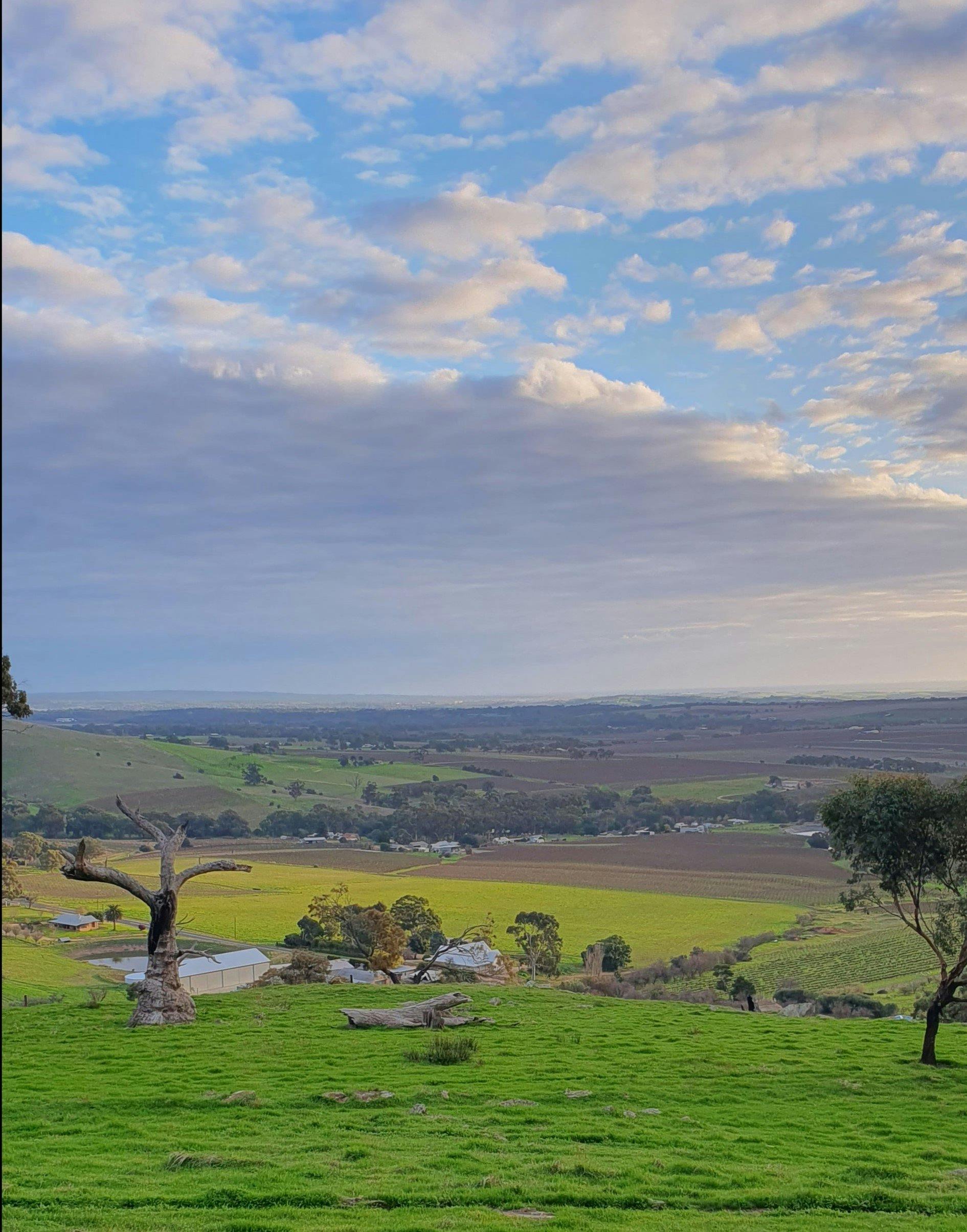 All Barossa Tours Beautiful Views
