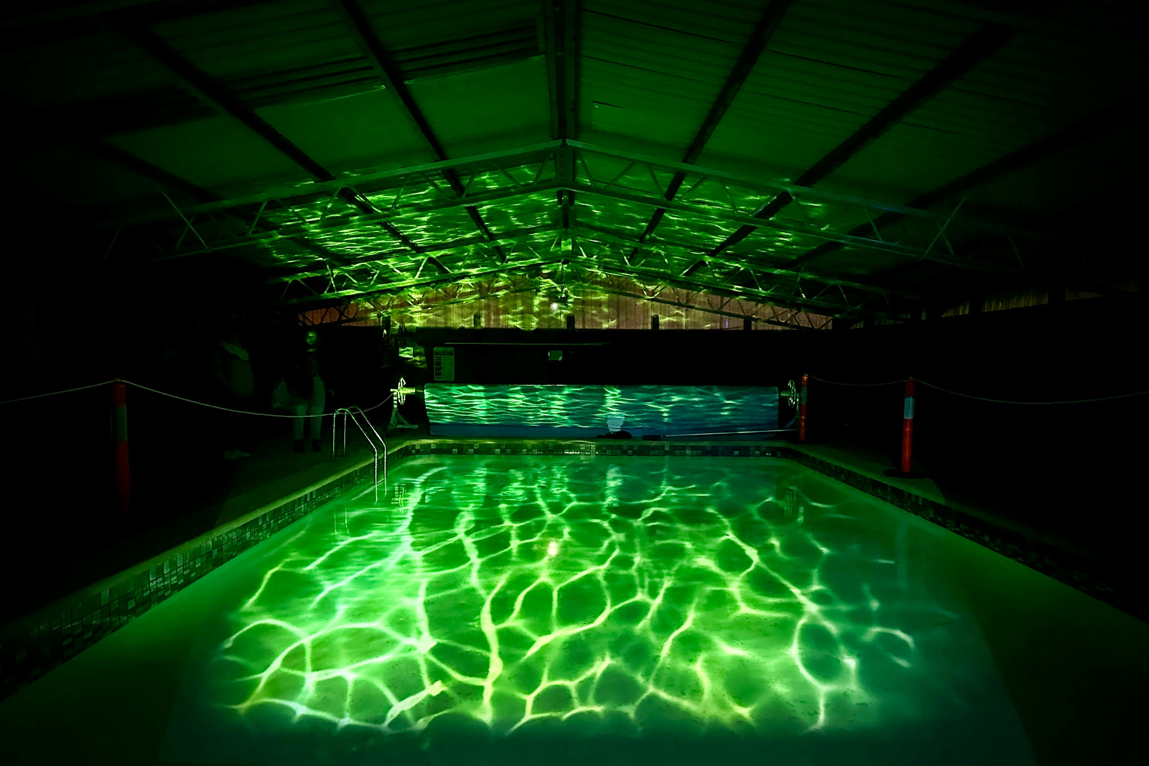 An immersive projected artwork inside the Lions of Tasman Community Pool building.