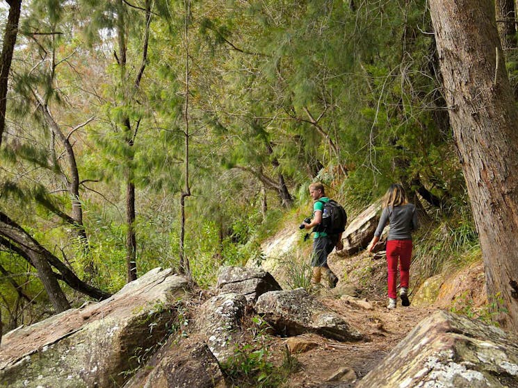 People walking on Place of Winds walk in Berowra Valley National Park. Photo: John Yurasek