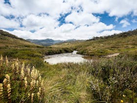 Cascade Hut trail