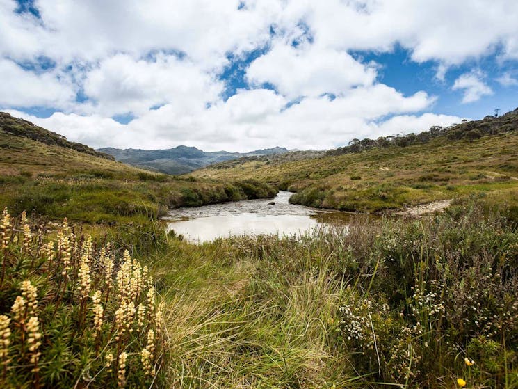 Cascade Hut trail