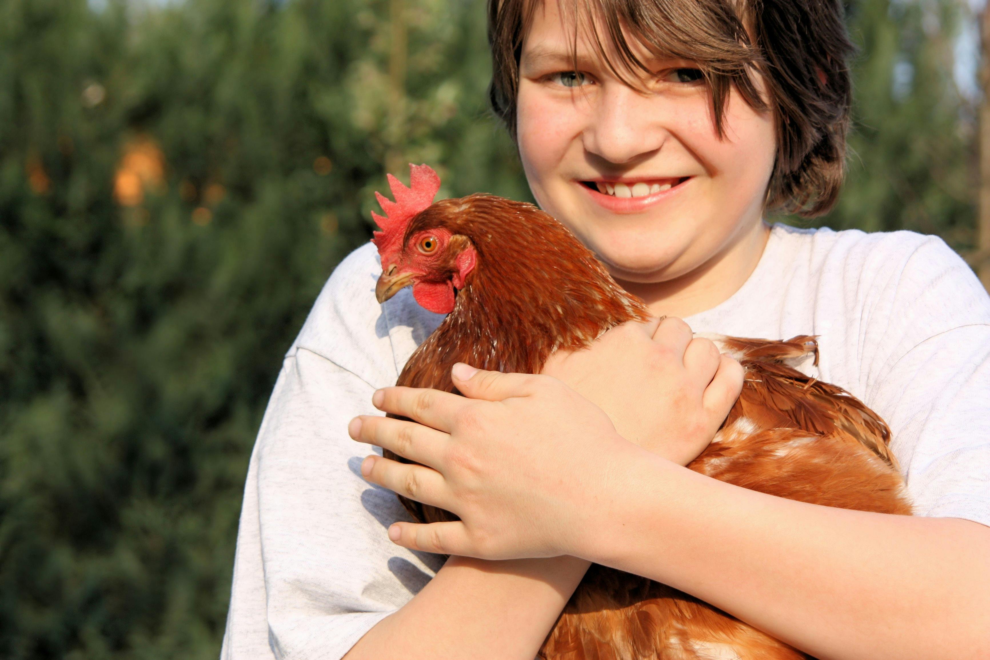 Morvern Valley Best farm stay in Australia