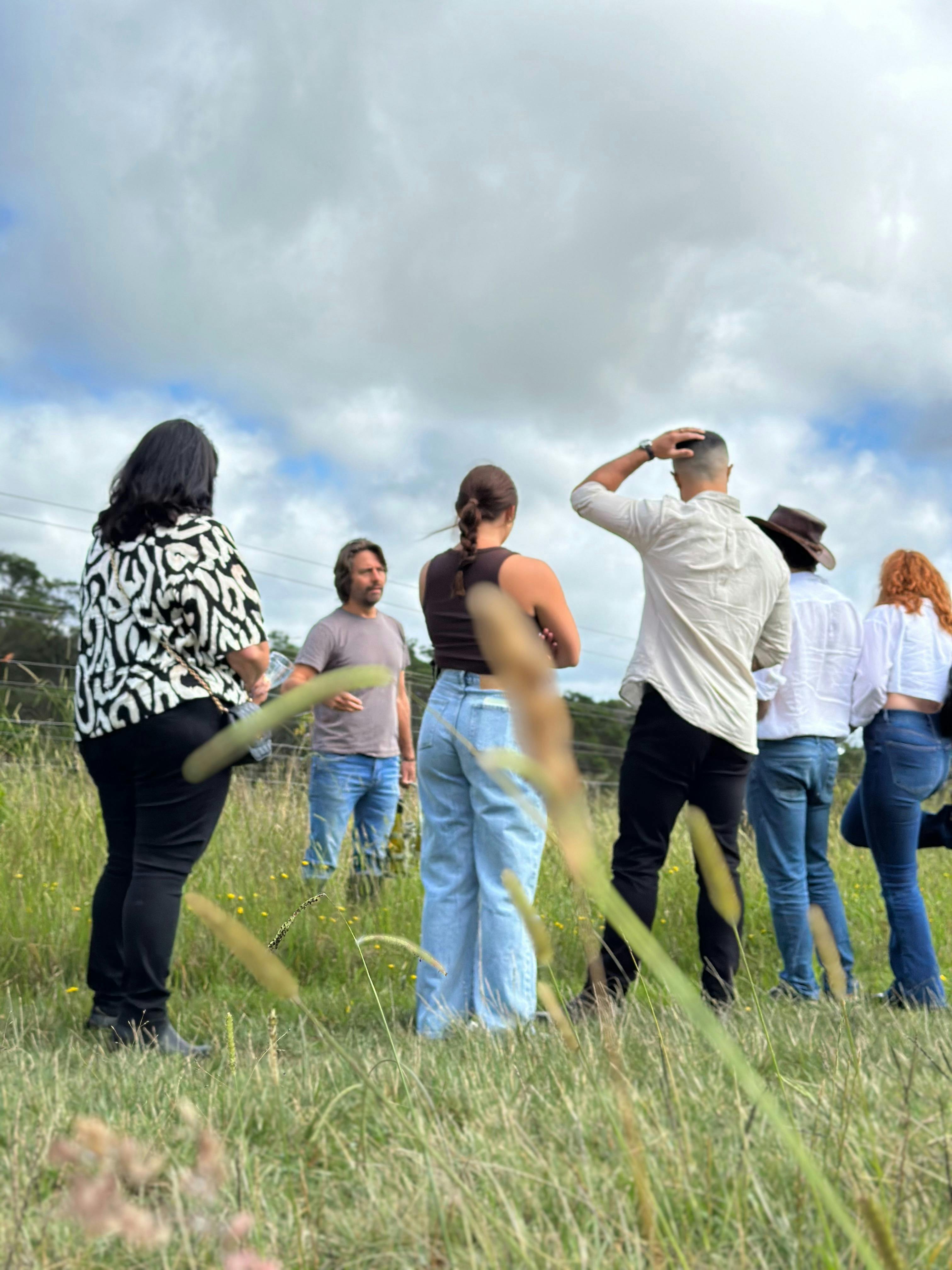 sustainable wine tasting and vineyard experience