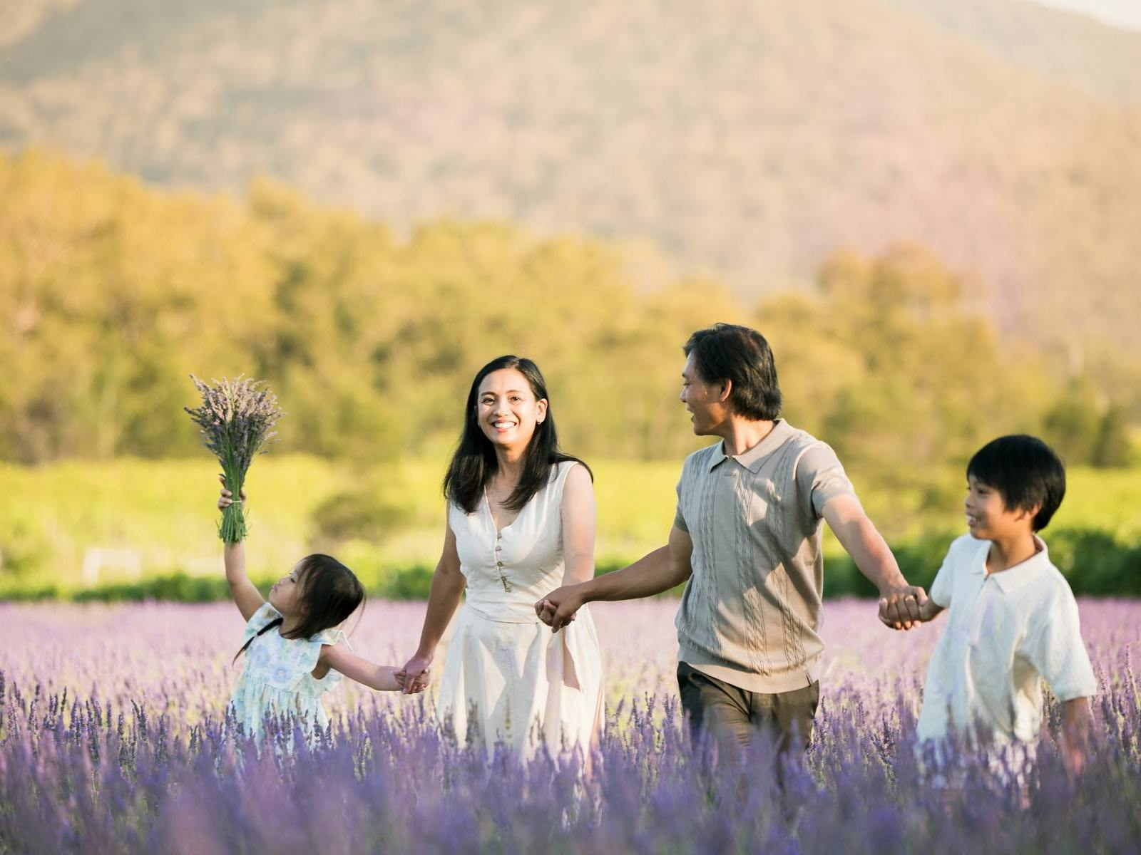Hunter Valley Lavender Farm Lavender Field near Sydney