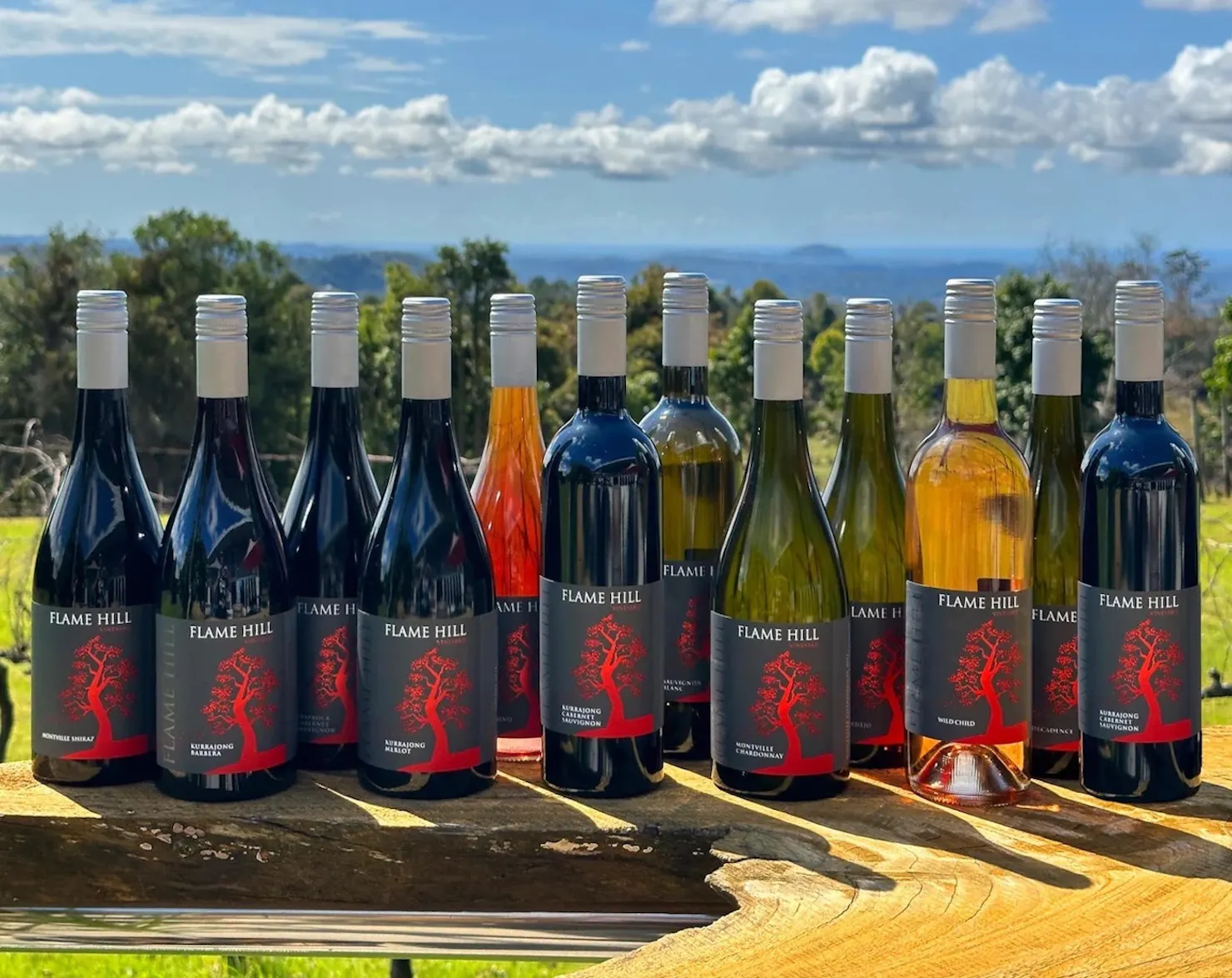 Wines awards, Queensland wine awards, Sunshine Coast, cellar door, flame hill vineyard