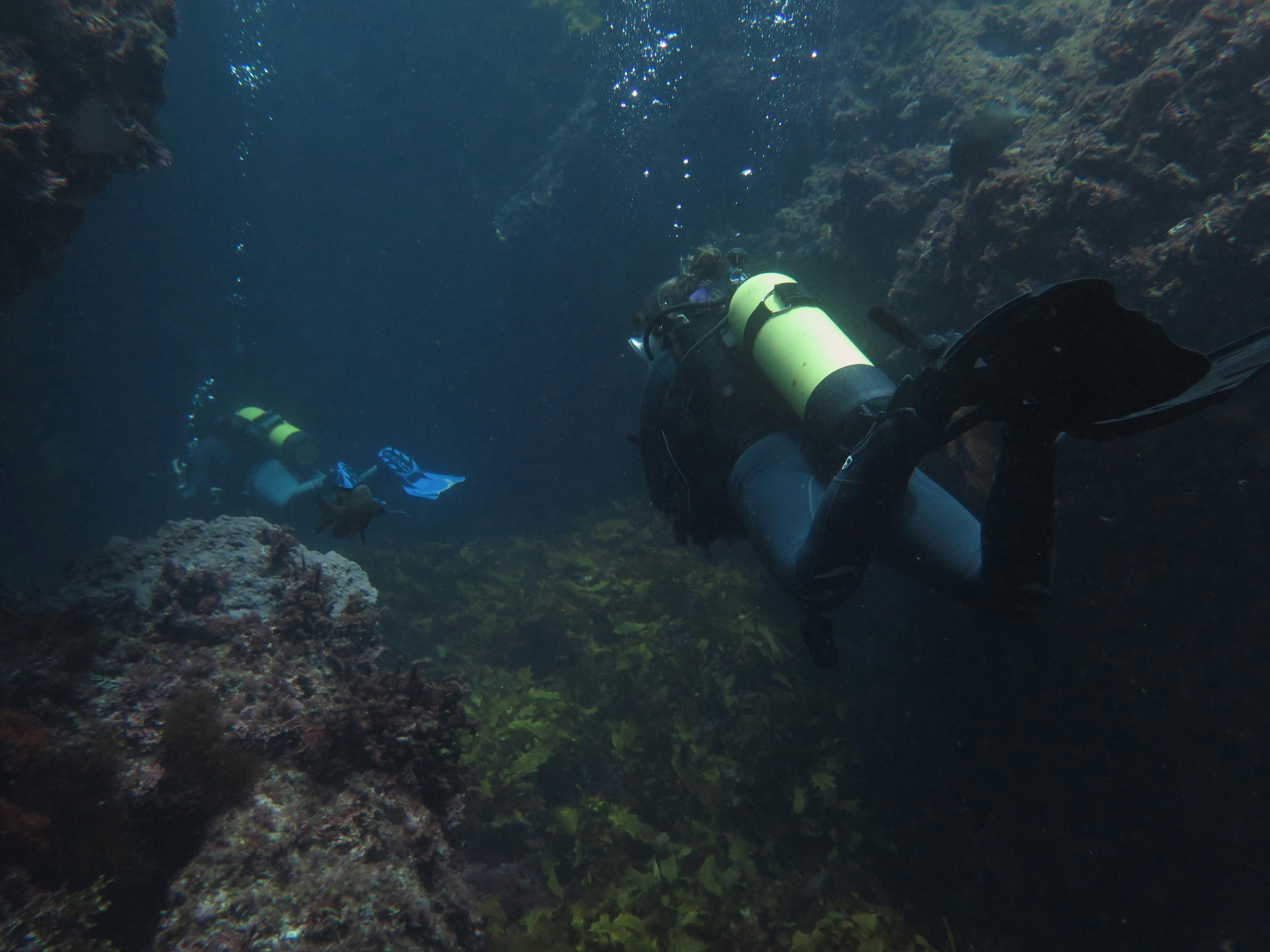 Bucket List Diver, Rottnest, Western Australia