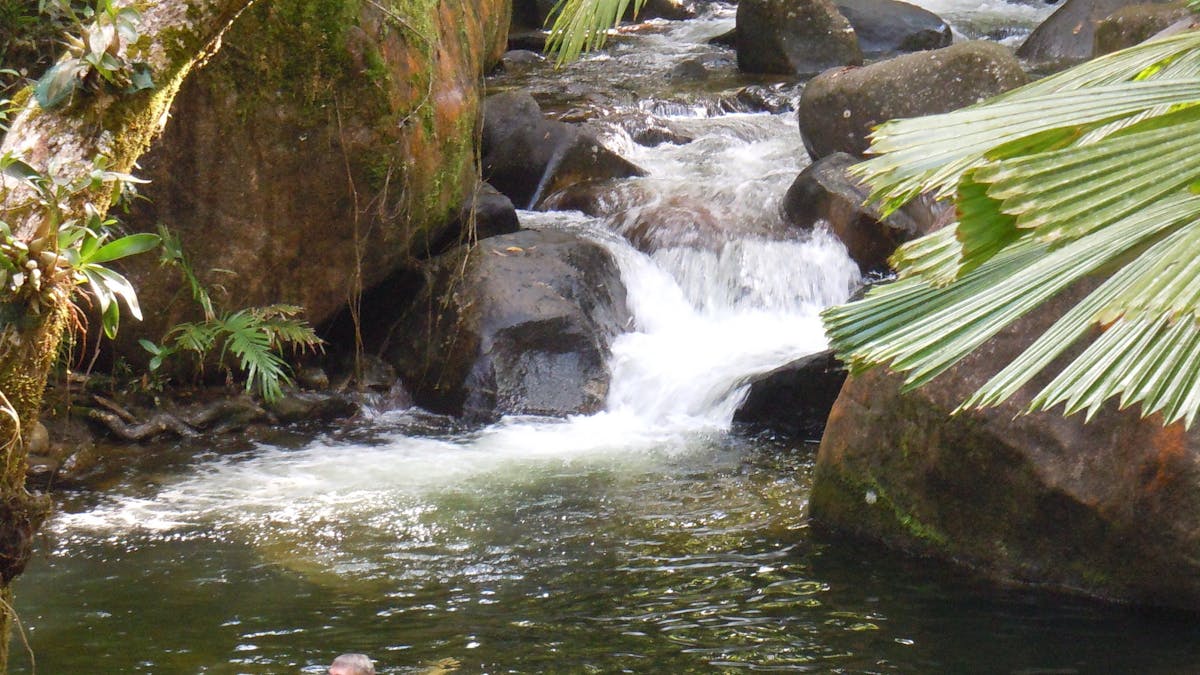 Their own private swimming hole and waterfalls.