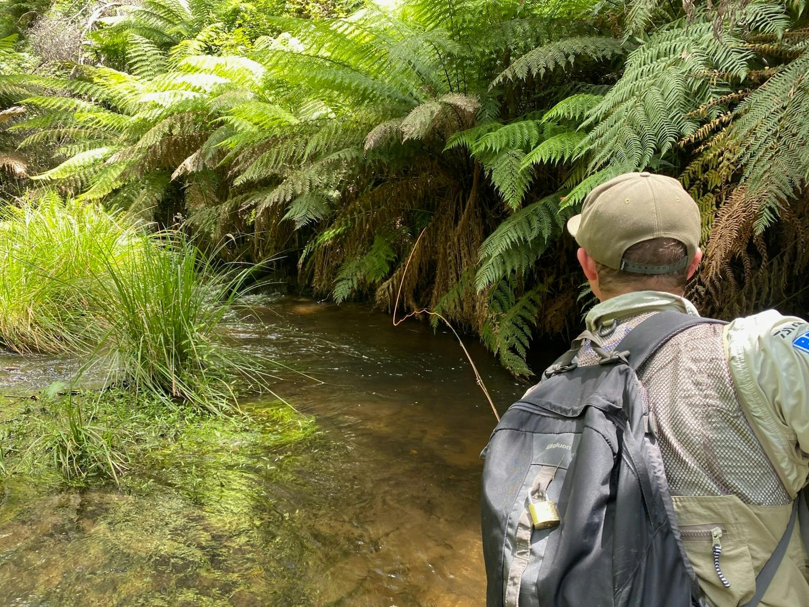 A Morning in the Mitta - Half Day Tours the essential experience