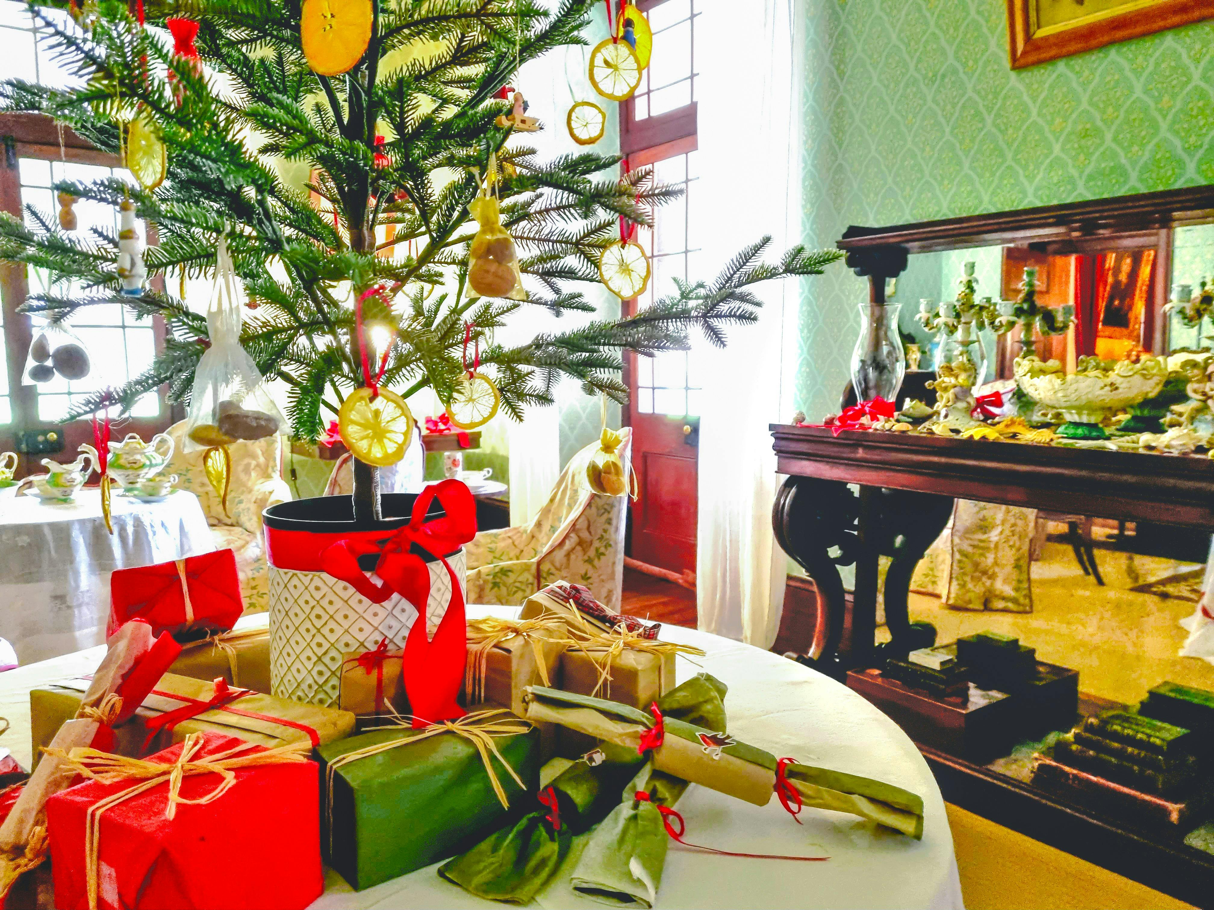 Christmas Displays at Lanyon Homestead and Calthorpes House