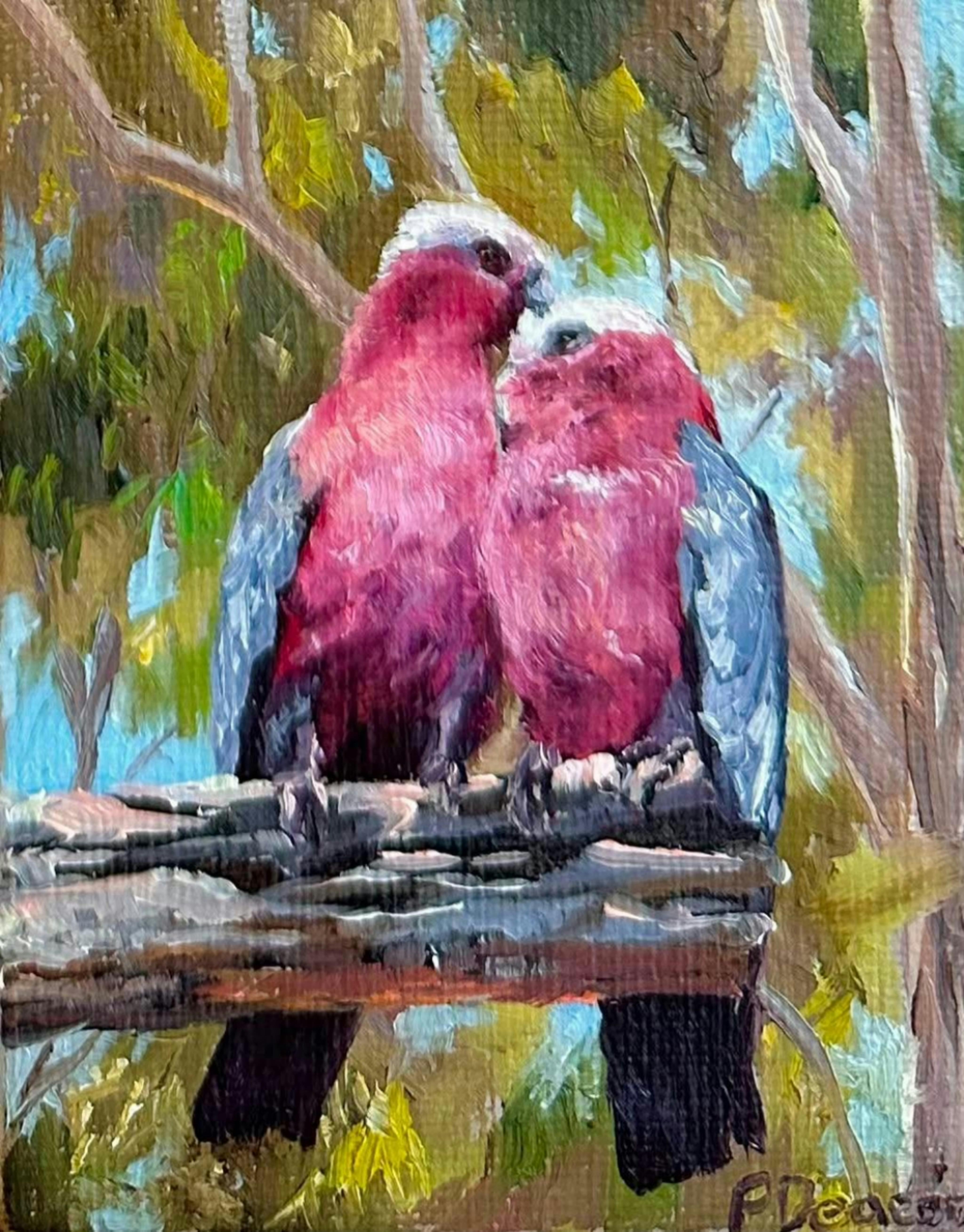 Two Galahs painting by Penny Deacon