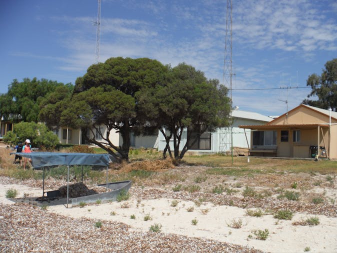 SonRays Shack
