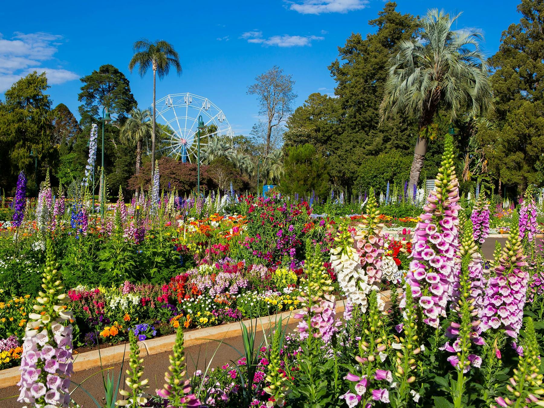Spring time at Toowoomba Carnival of Flowers