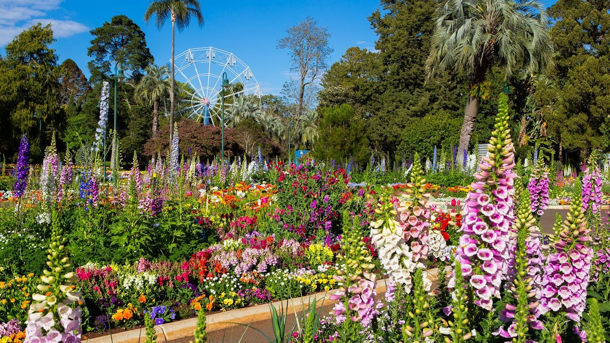 Spring time at Toowoomba Carnival of Flowers