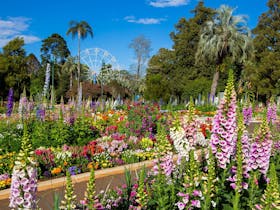 Toowoomba Carnival of Flowers