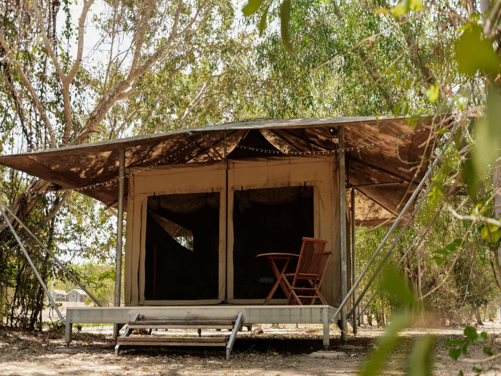 Safari Tents