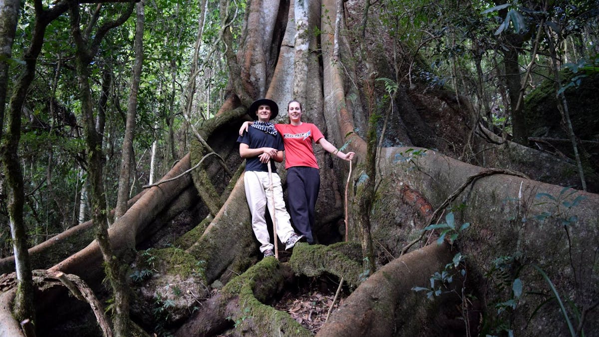 Leaning up against one of the big Figs