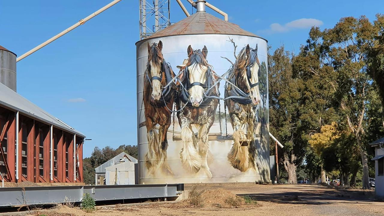 Goorambat Silo Art