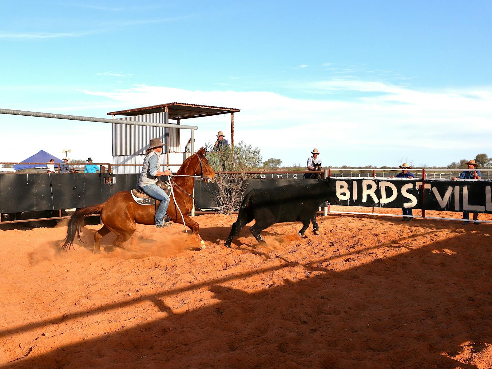 Image for Birdsville Horse and Motorbike Gymkhana