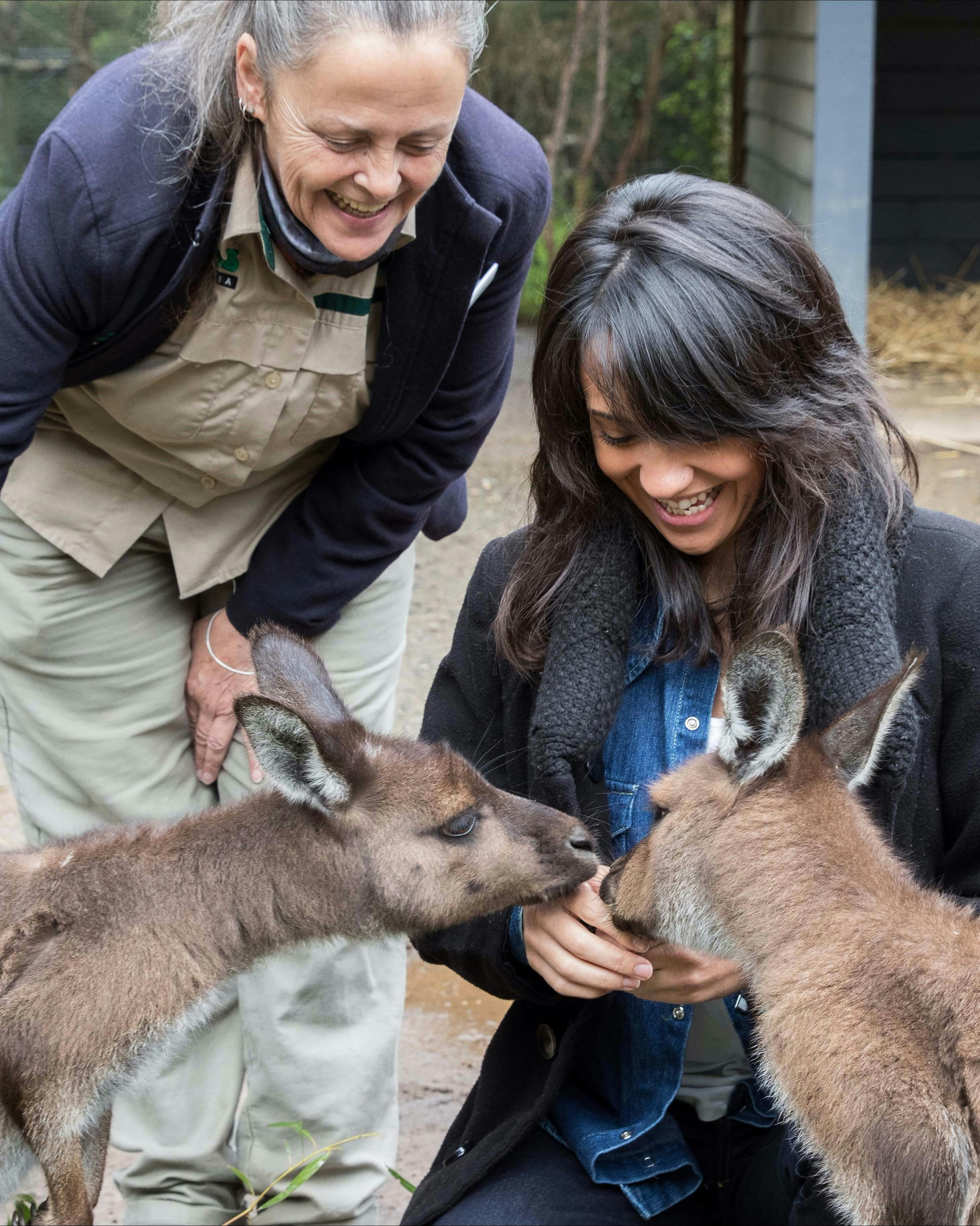 Healesville Sanctuary and Yarra Valley Private Tour