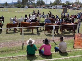 Nanango Show