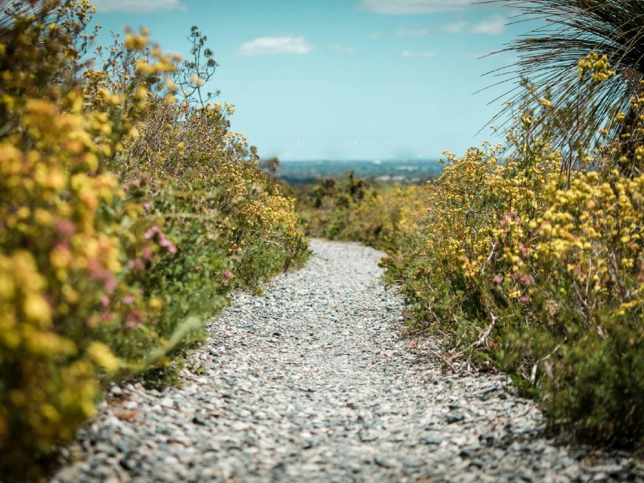 The Hike Collective, Parkerville, Western Australia
