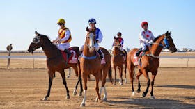 Birdsville Races