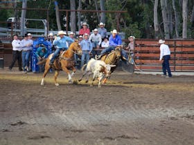 North Queensland Elite Rodeo Cover Image