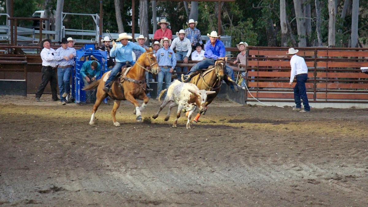 North Queensland Elite Rodeo | Events | Queensland