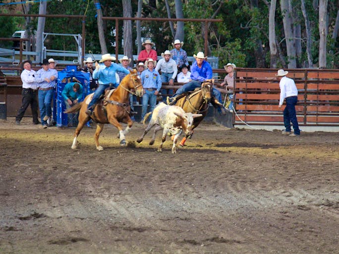 North Queensland Elite Rodeo