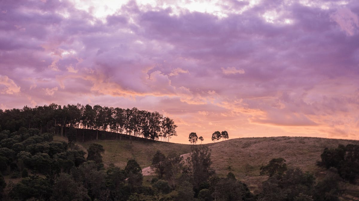 Farm stay near Brisbane