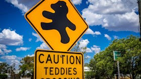 Tambo Teddies