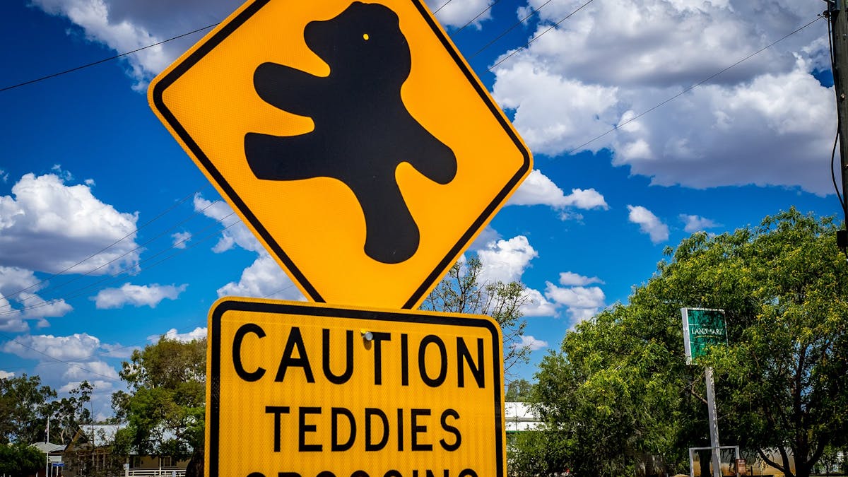 Tambo Teddies