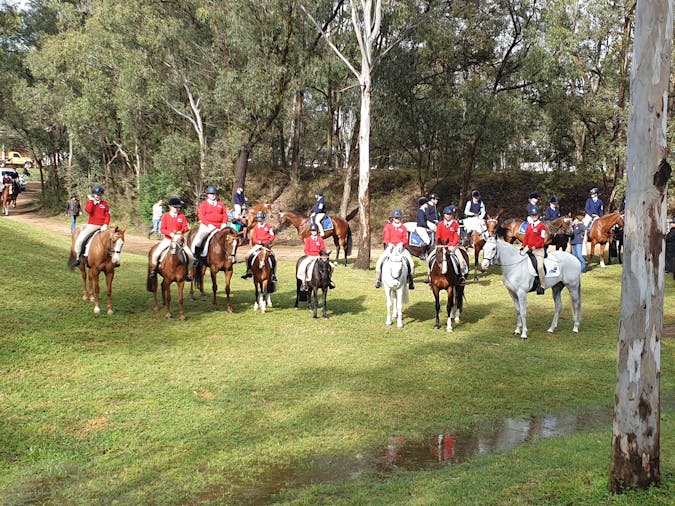 Equestrian Sports club for local riders