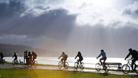Mountain bike Lorne