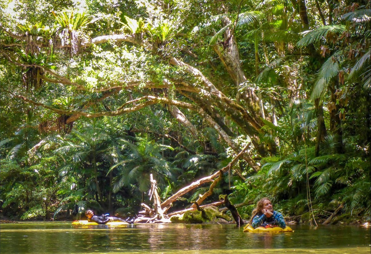 Rainforest Snorkelling