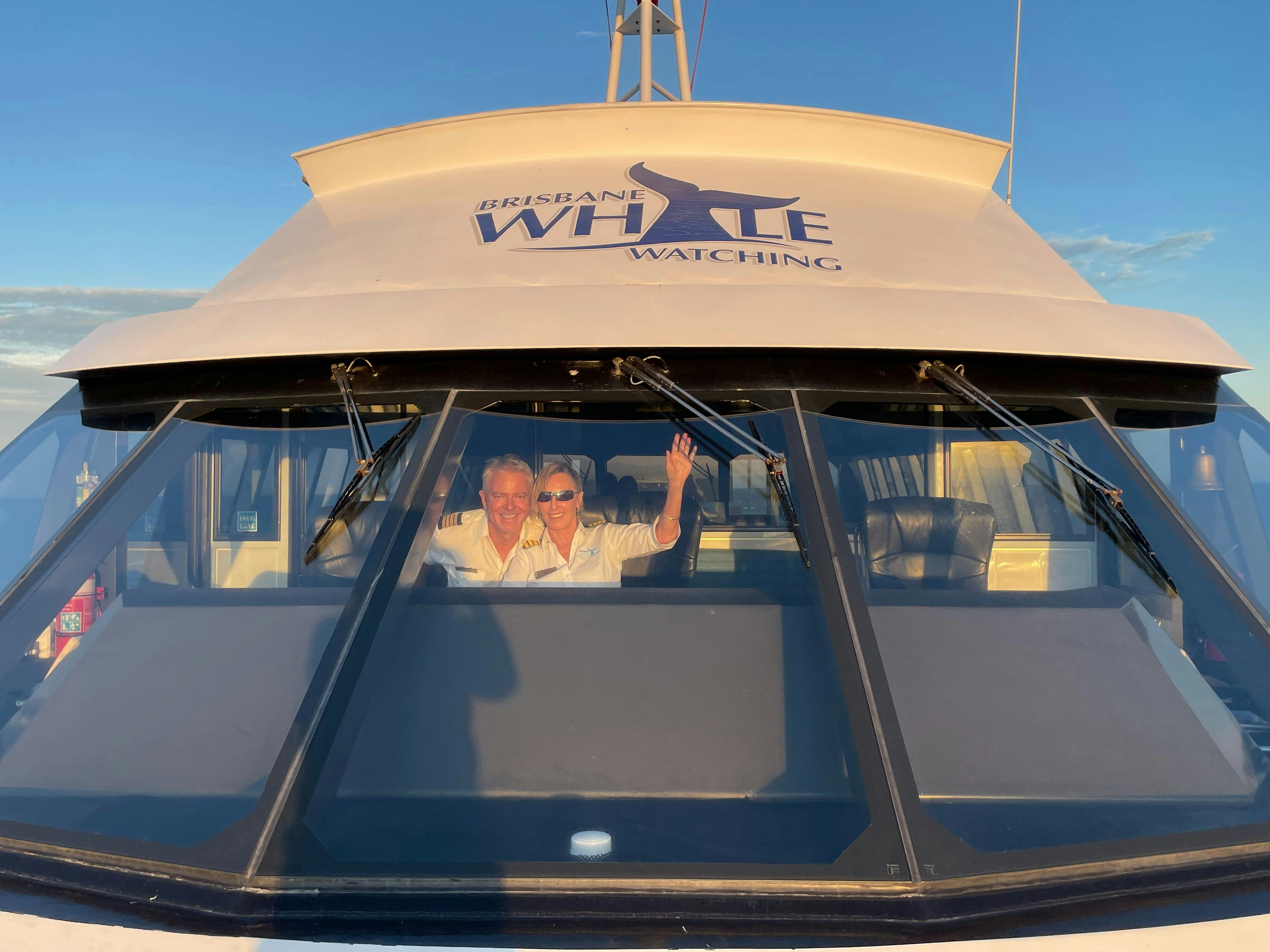 Brisbane Whale Watching