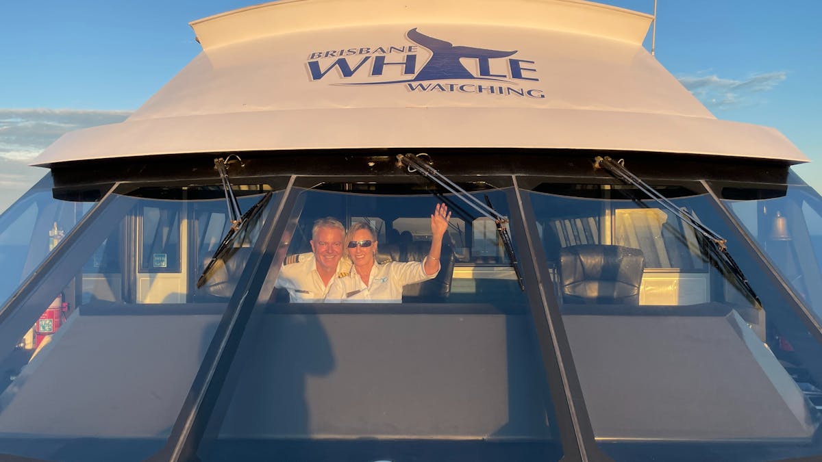 Brisbane Whale Watching