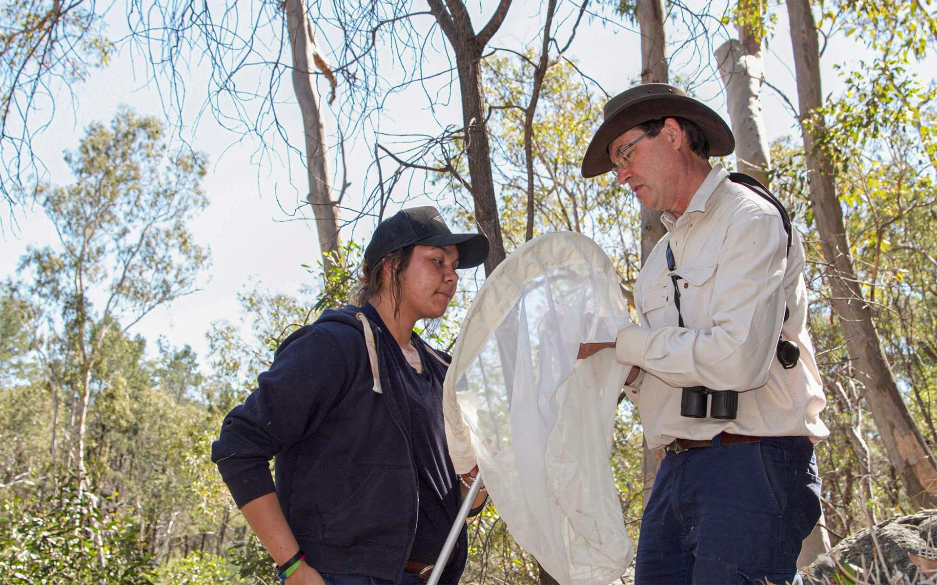 Two people in bush setting, inspecting an insect a net