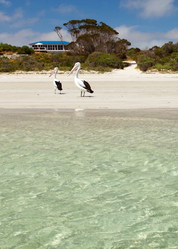 Kangaroo Island Star Beach House