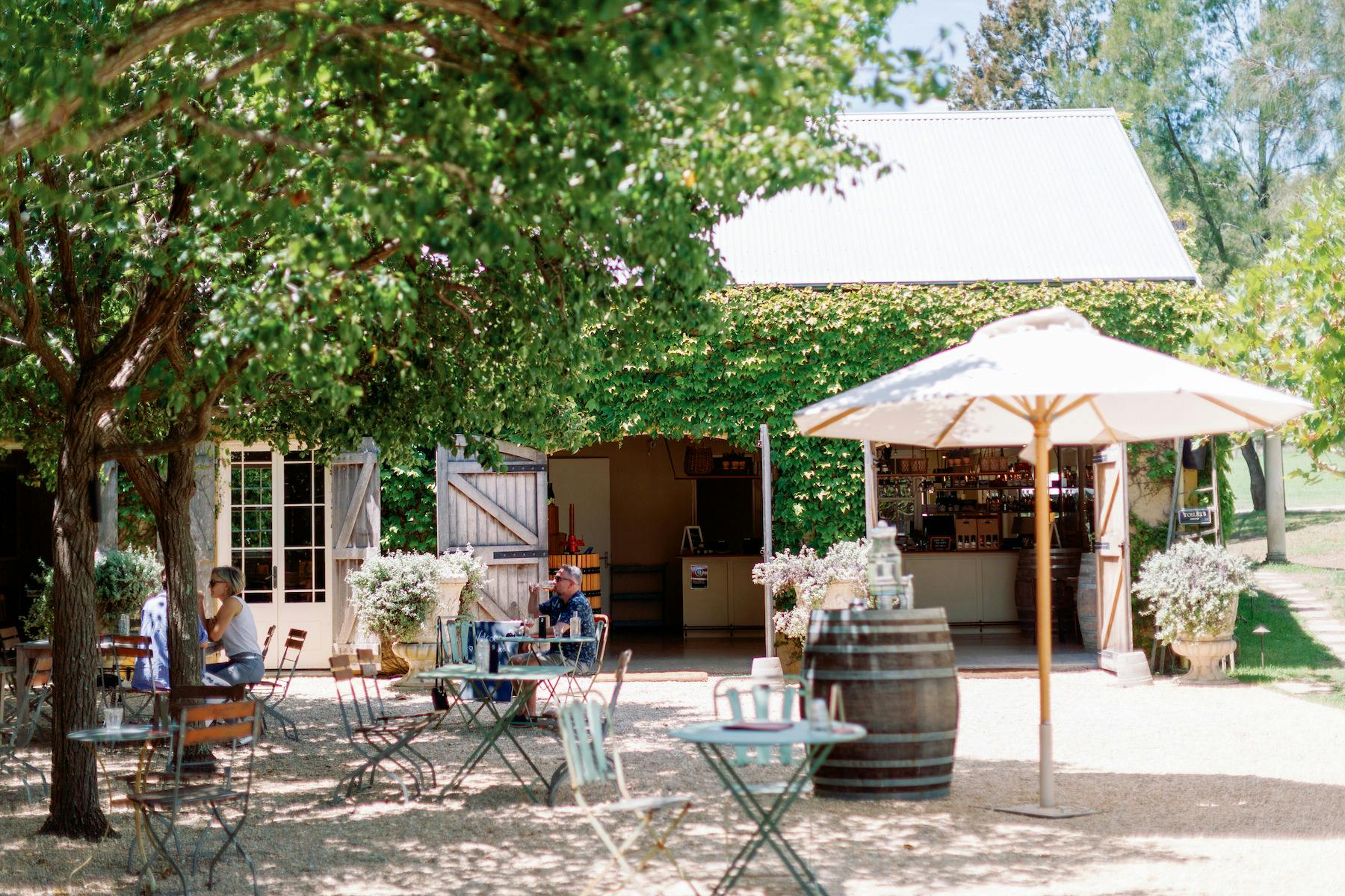 Big flavour, small scale—experience handcrafted wines at boutique Hunter Valley wineries