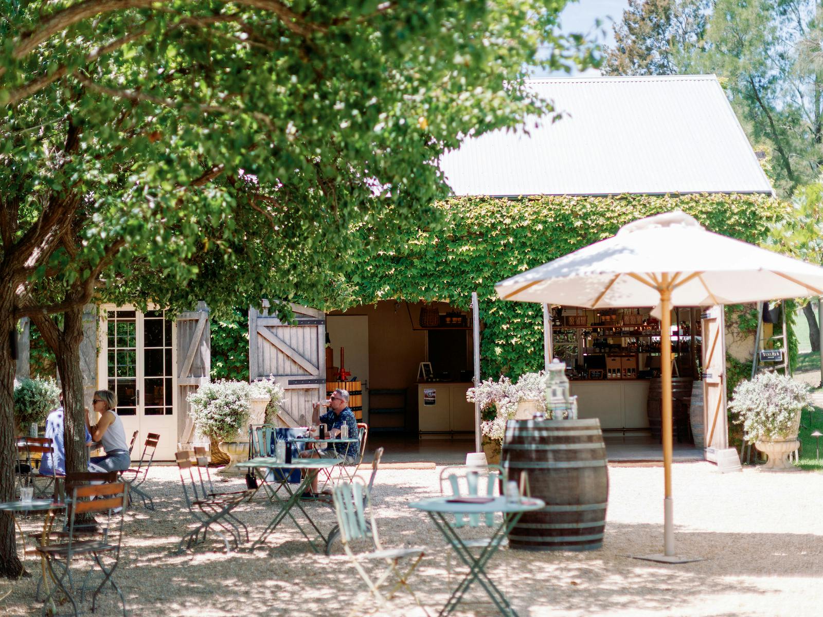 Big flavour, small scale—experience handcrafted wines at boutique Hunter Valley wineries