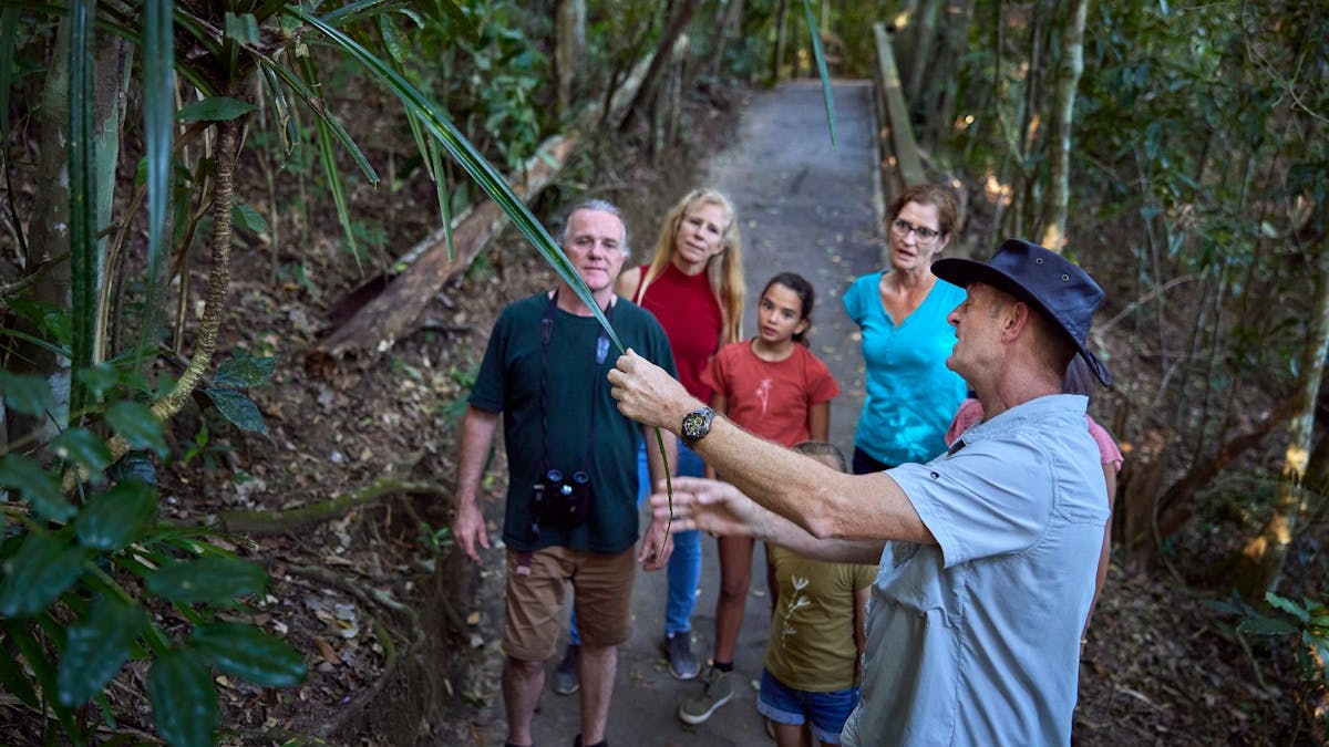 Rainforest Tours