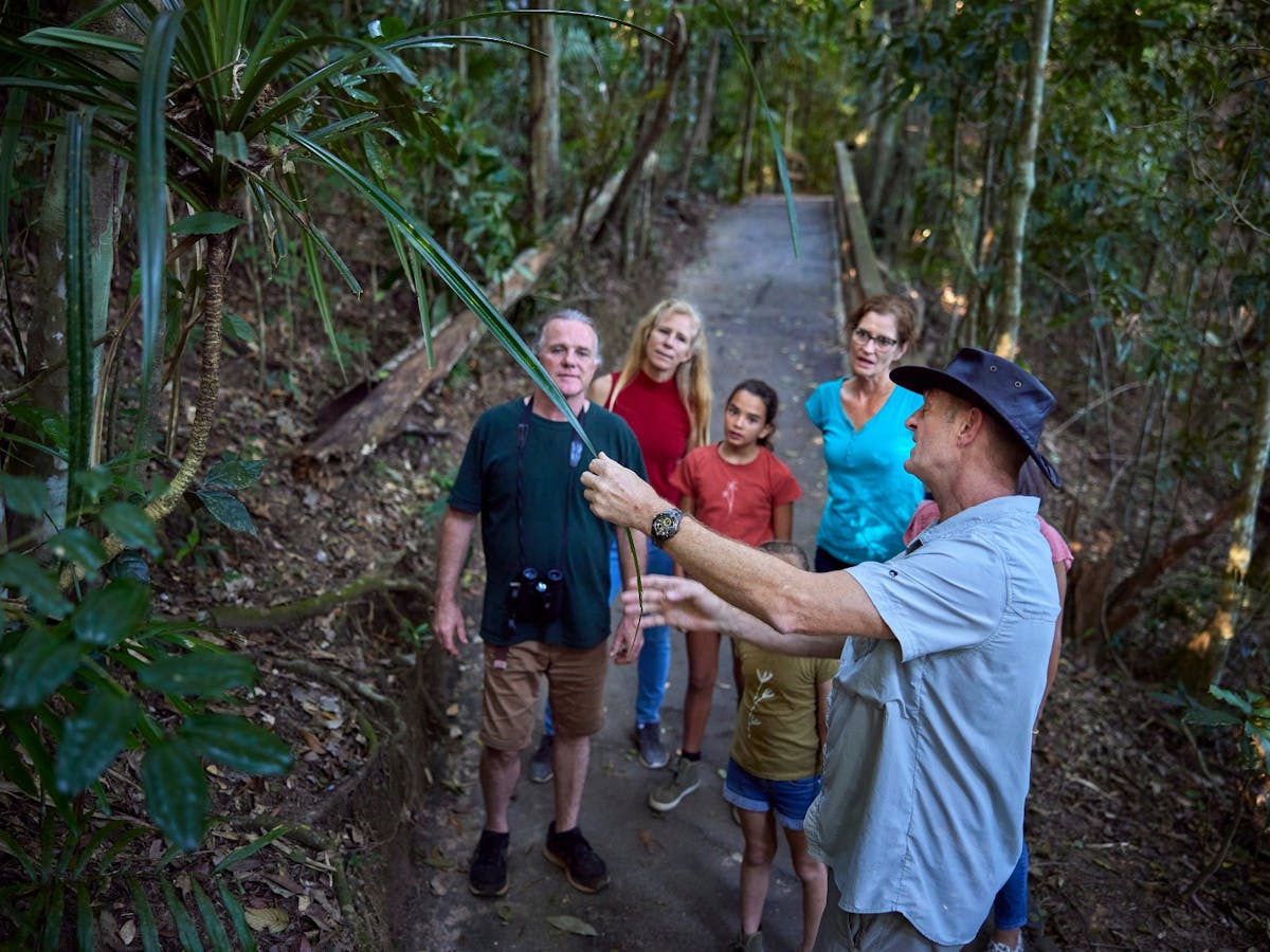 Rainforest Tours