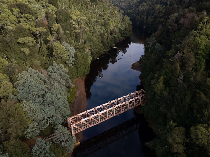 An orange bridge made of iron crosses a tannin stained river in the rainforest