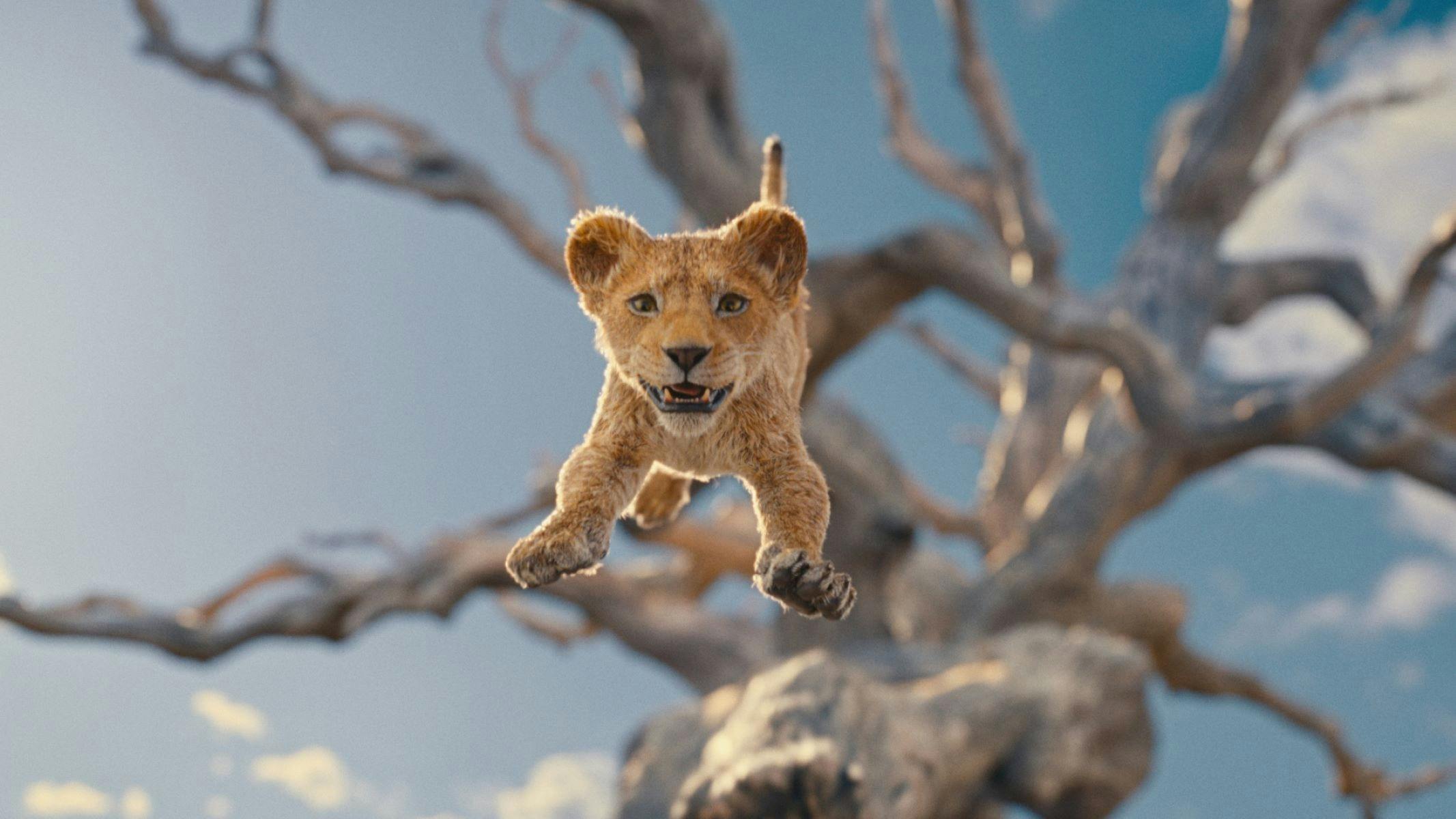 Mufasa: The Lion King - Preview Screenings at Dendy Cinemas Coorparoo