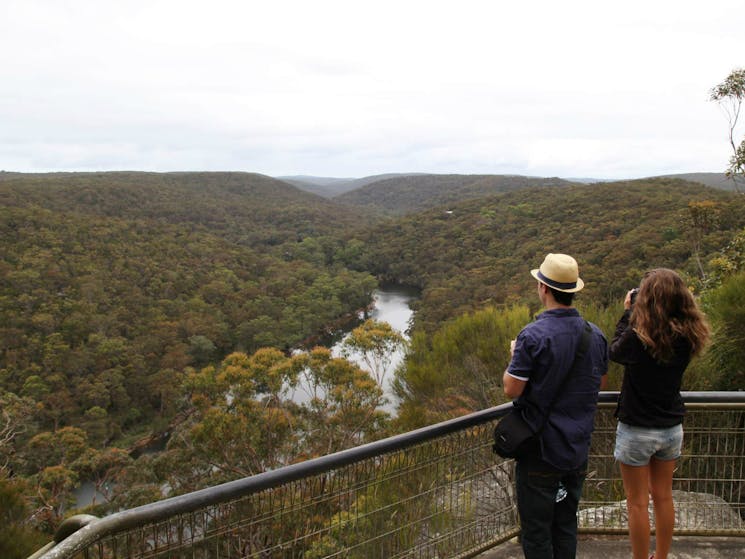 Bungoona path, Royal National Park. Photo: Andy Richards/NSW Government