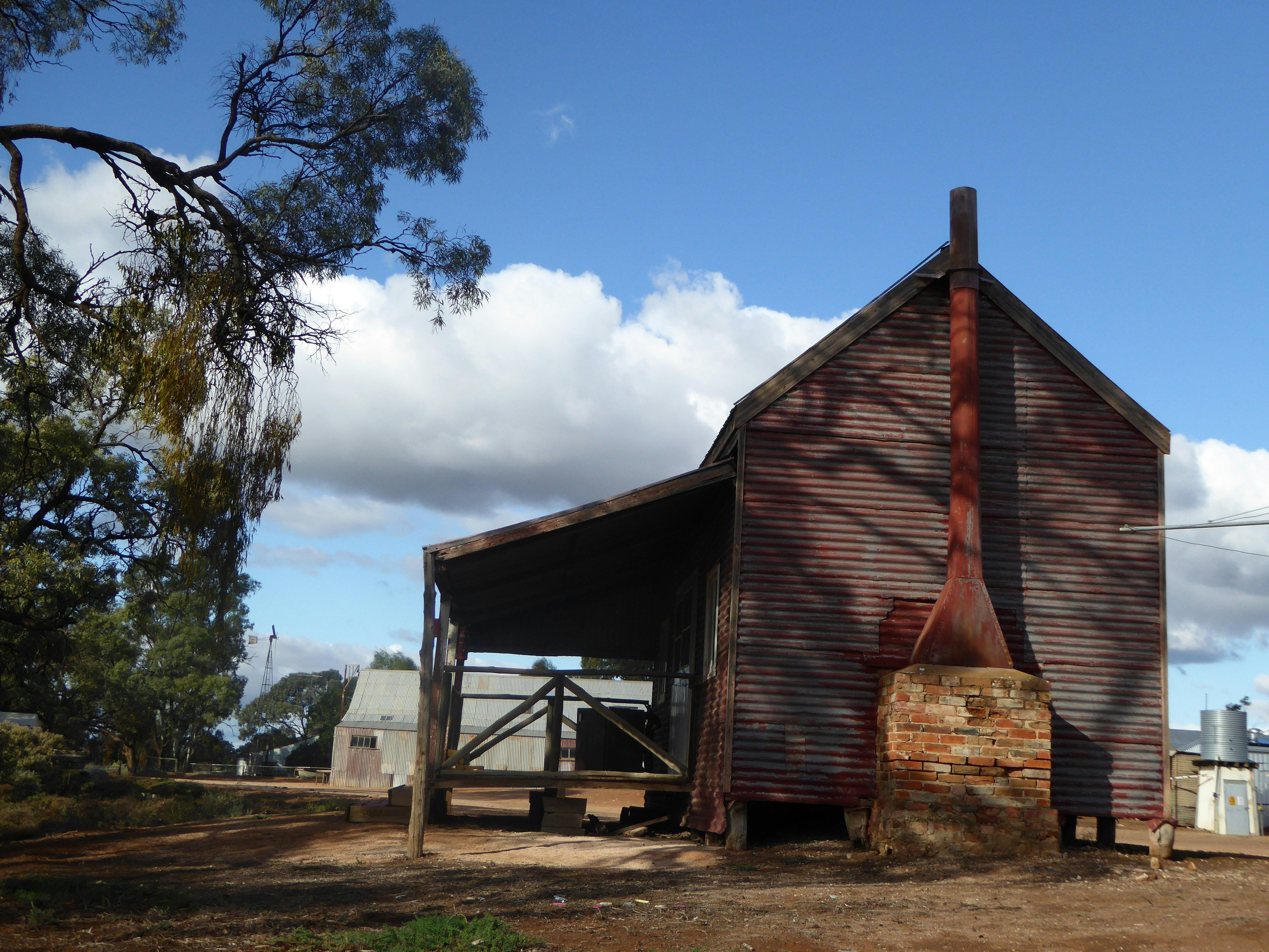 너무 키가 크고 우아한