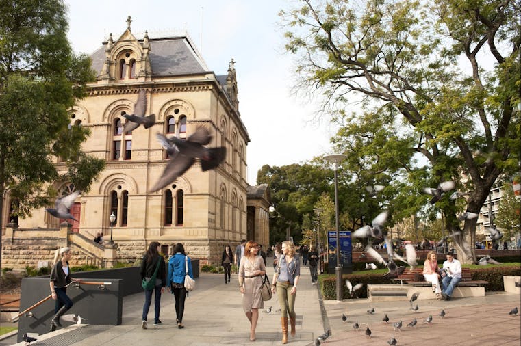 North Terrace Adelaide, Attraction South Australia